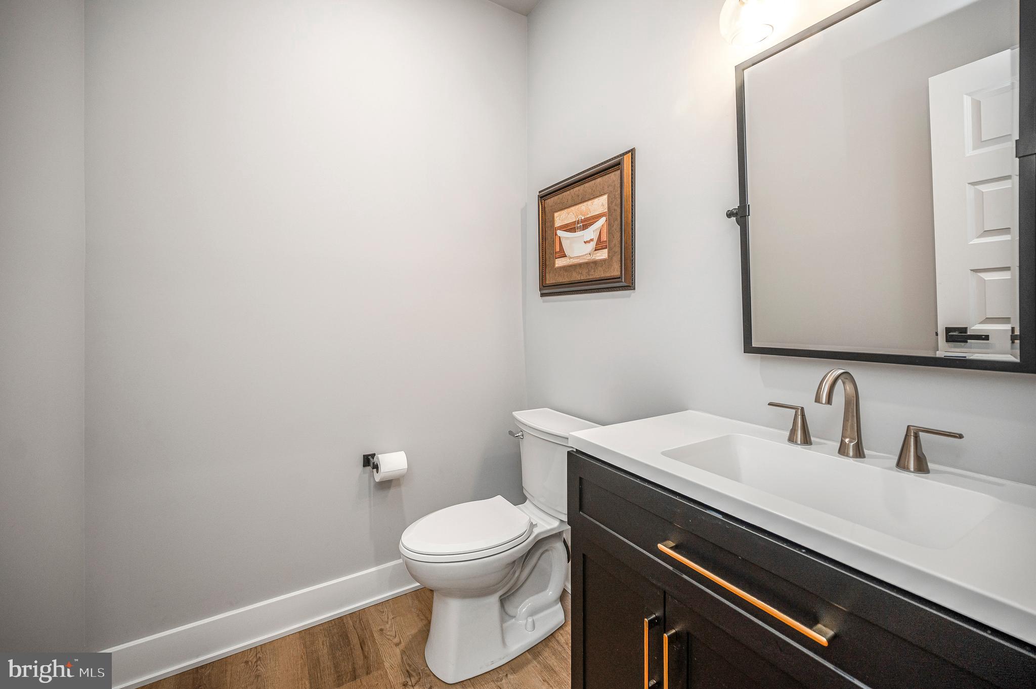 3200 Lakeview Parkway Locust Grove, VA 22508 - Photo 51 of 83 Half bathroom in hallway on main level.