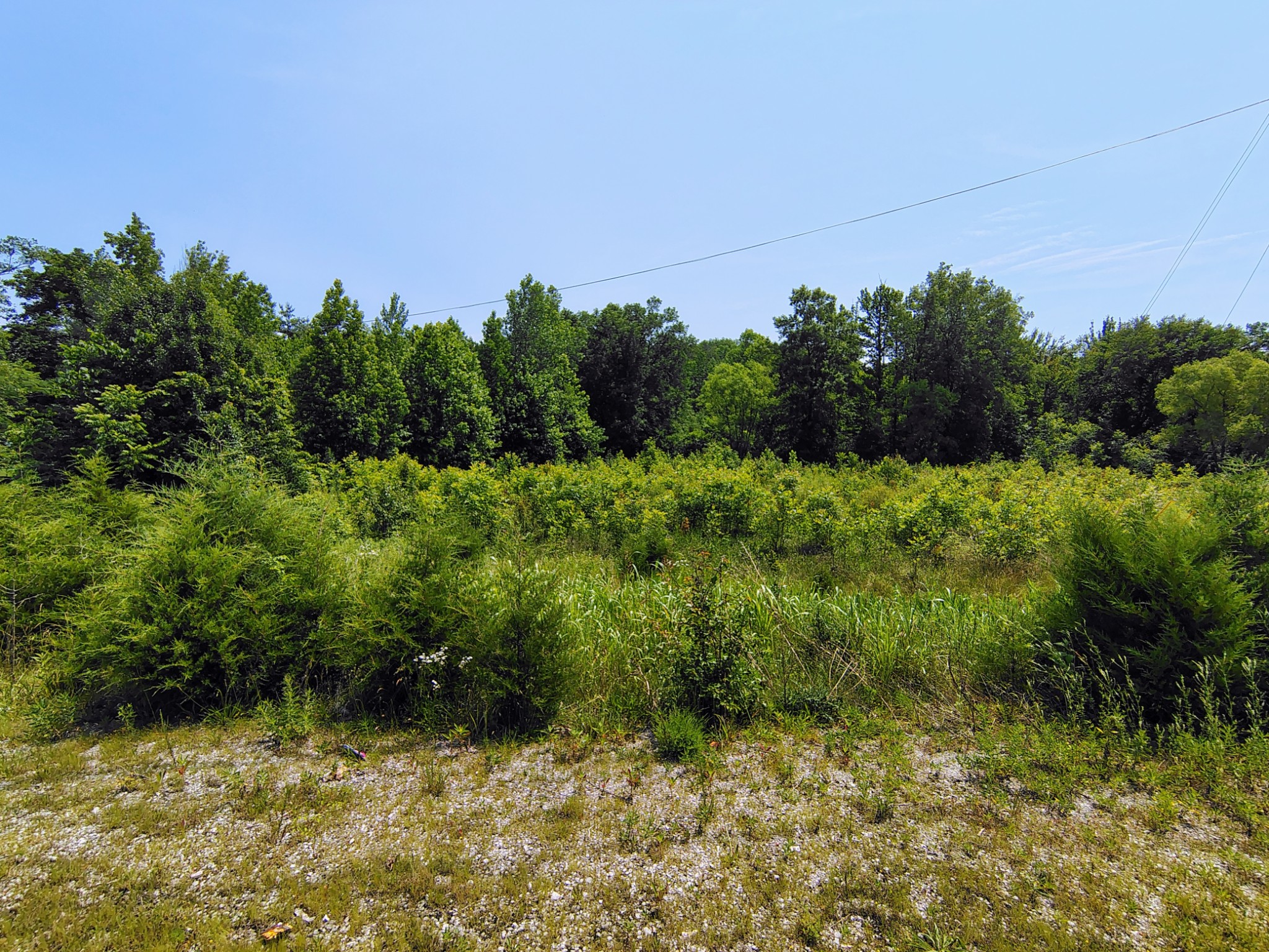 419 Rickman Road Livingston, TN 38570 - Photo 2 of 7 Gallery Image 2