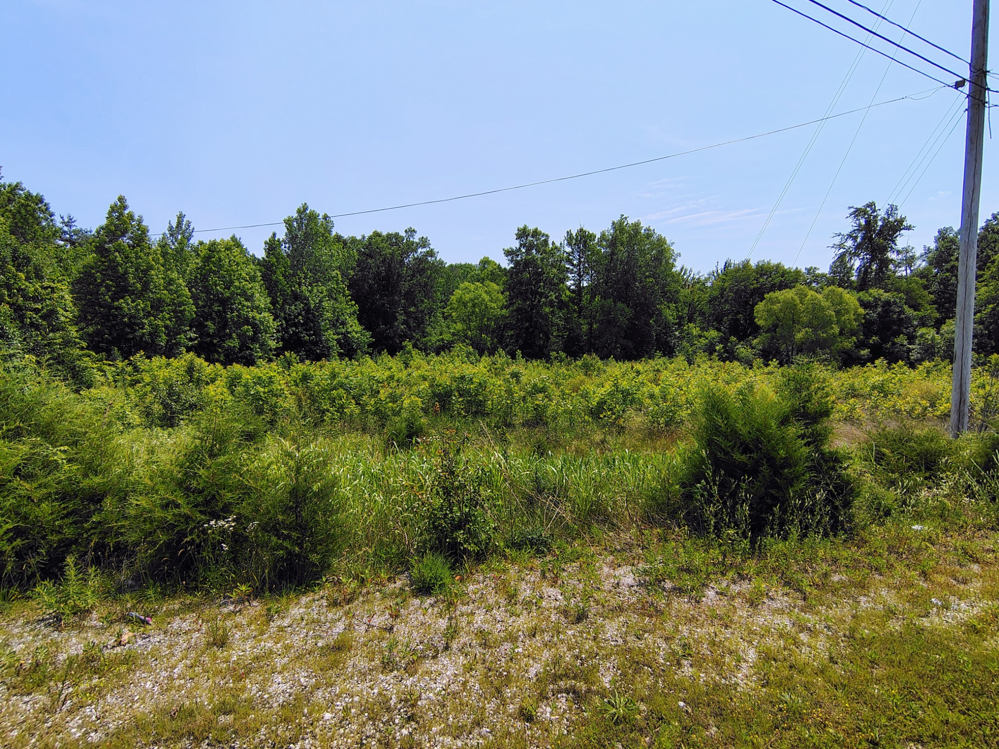 419 Rickman Road Livingston, TN 38570 - Photo 3 of 7 Gallery Image 3