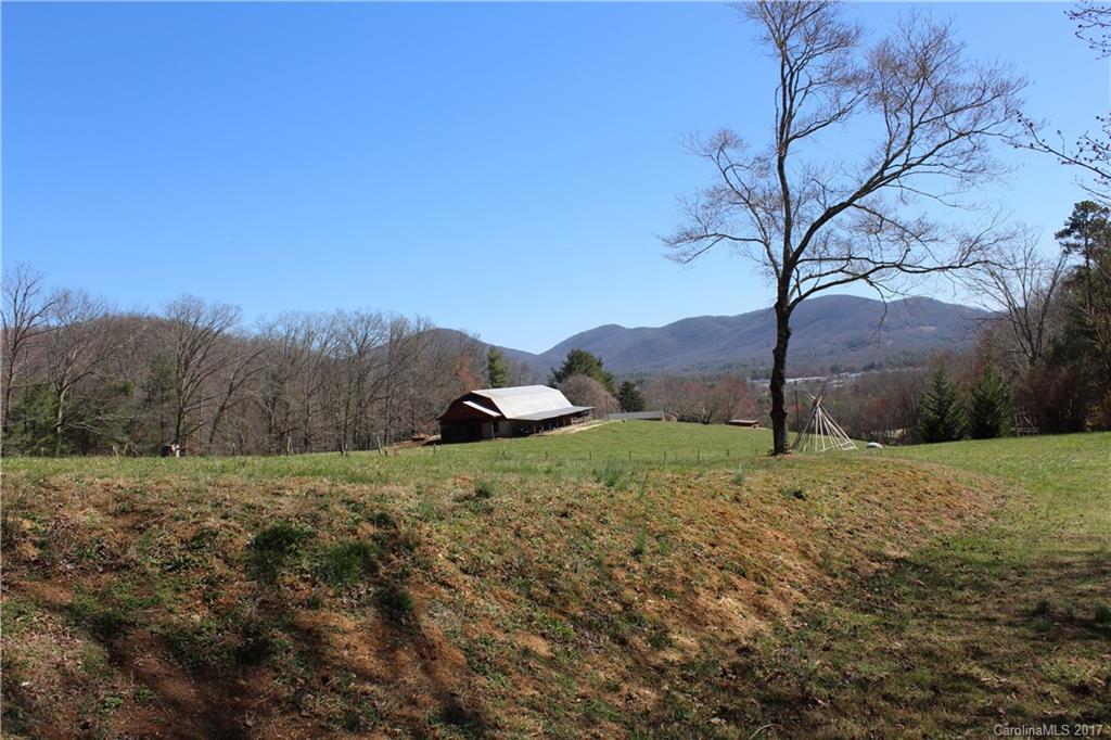 74 Lower Christ School Road Fletcher, NC 28732 - Photo 19 of 24 Gallery Image 19