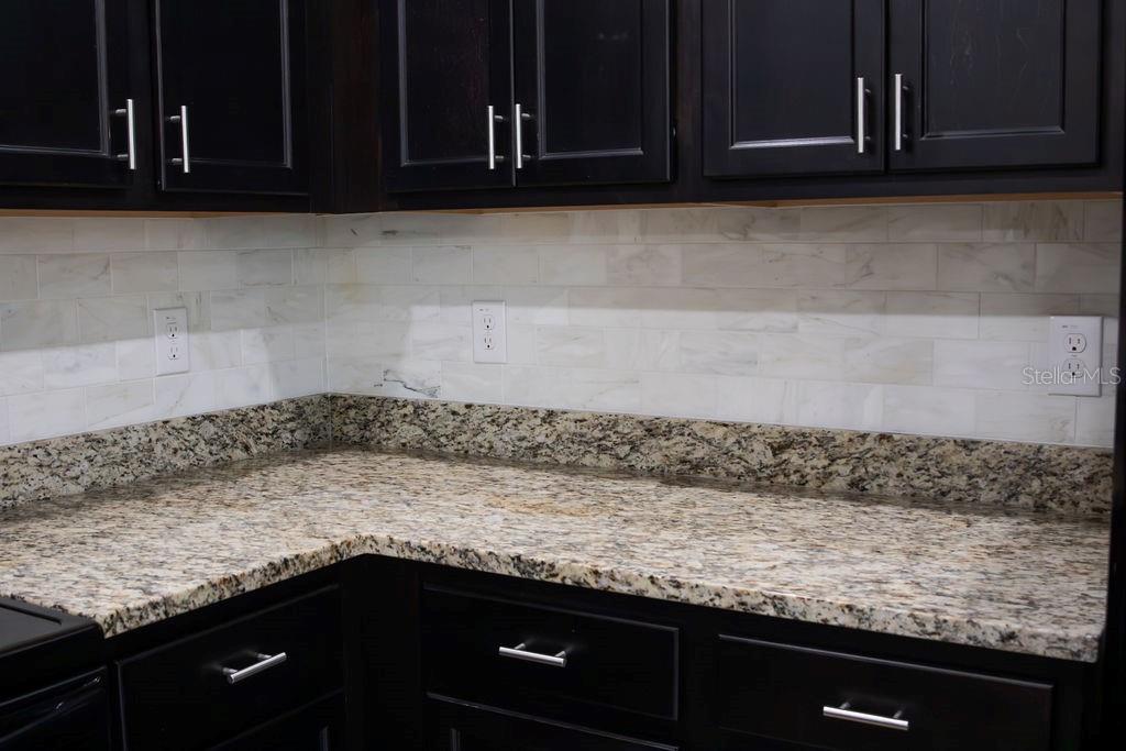 8089 Pelican Reed Circle Wesley Chapel, FL 33545 - Photo 21 of 61