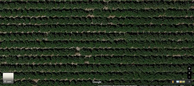 $12,532,800 | 12486 Road 19, Madera, CA 93637