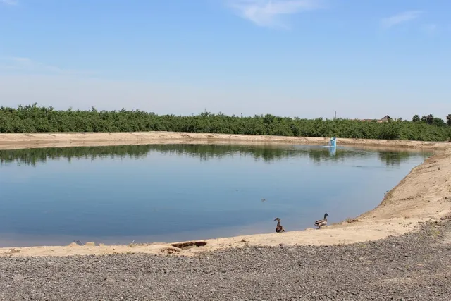 $12,532,800 | 12486 Road 19, Madera, CA 93637