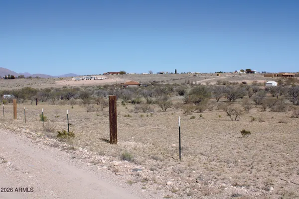 a view of a dry field with trees in the background