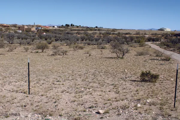 a view of a dry field with trees in the background