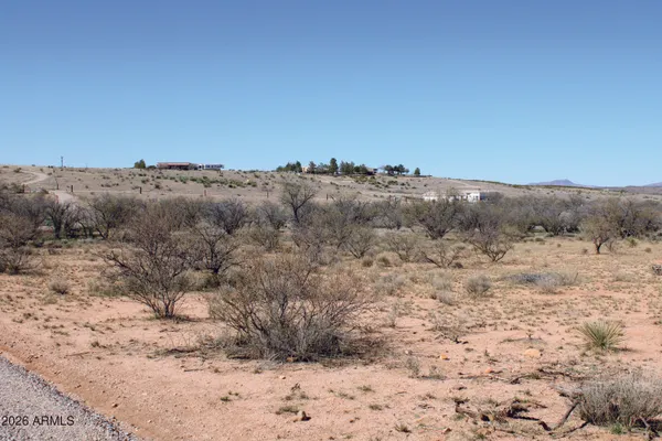 a view of a dry yard with trees