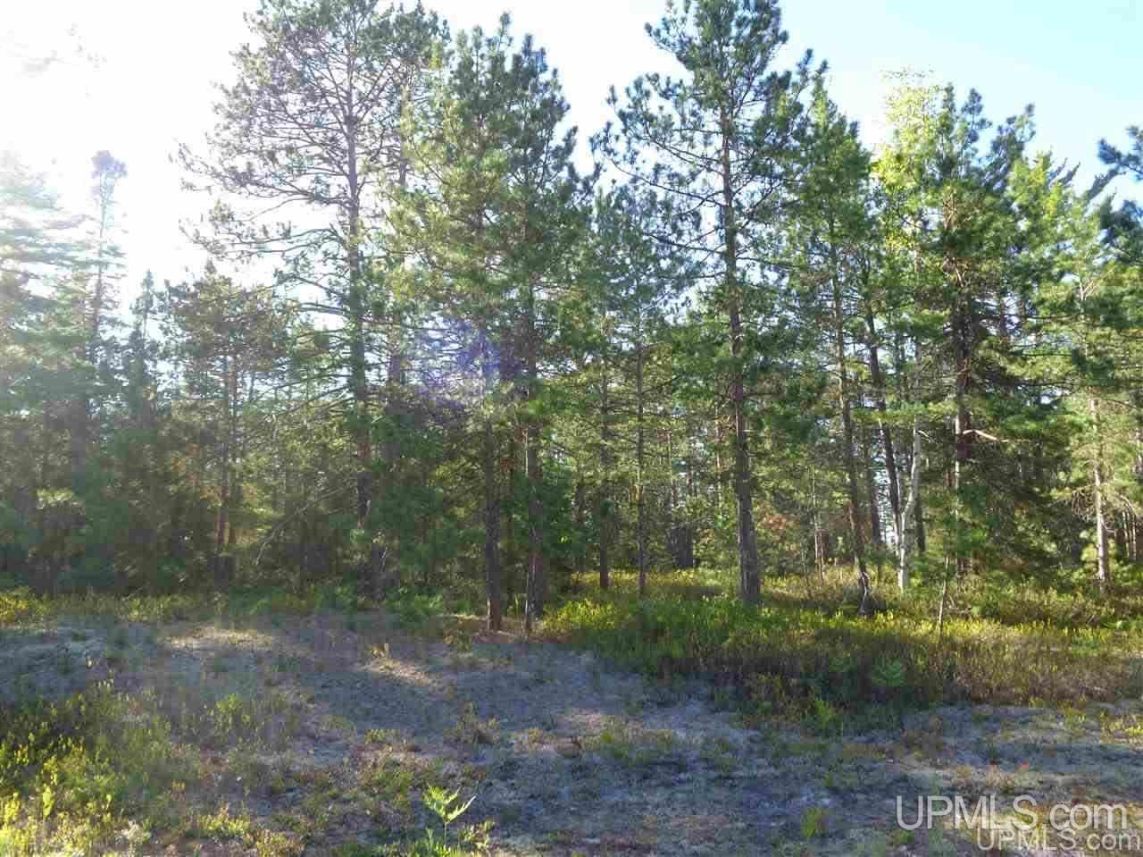 24 Little Rice Lk Road, Unit 24 Lake Linden, MI 49945 - Photo 1 of 4 Gallery Image 1