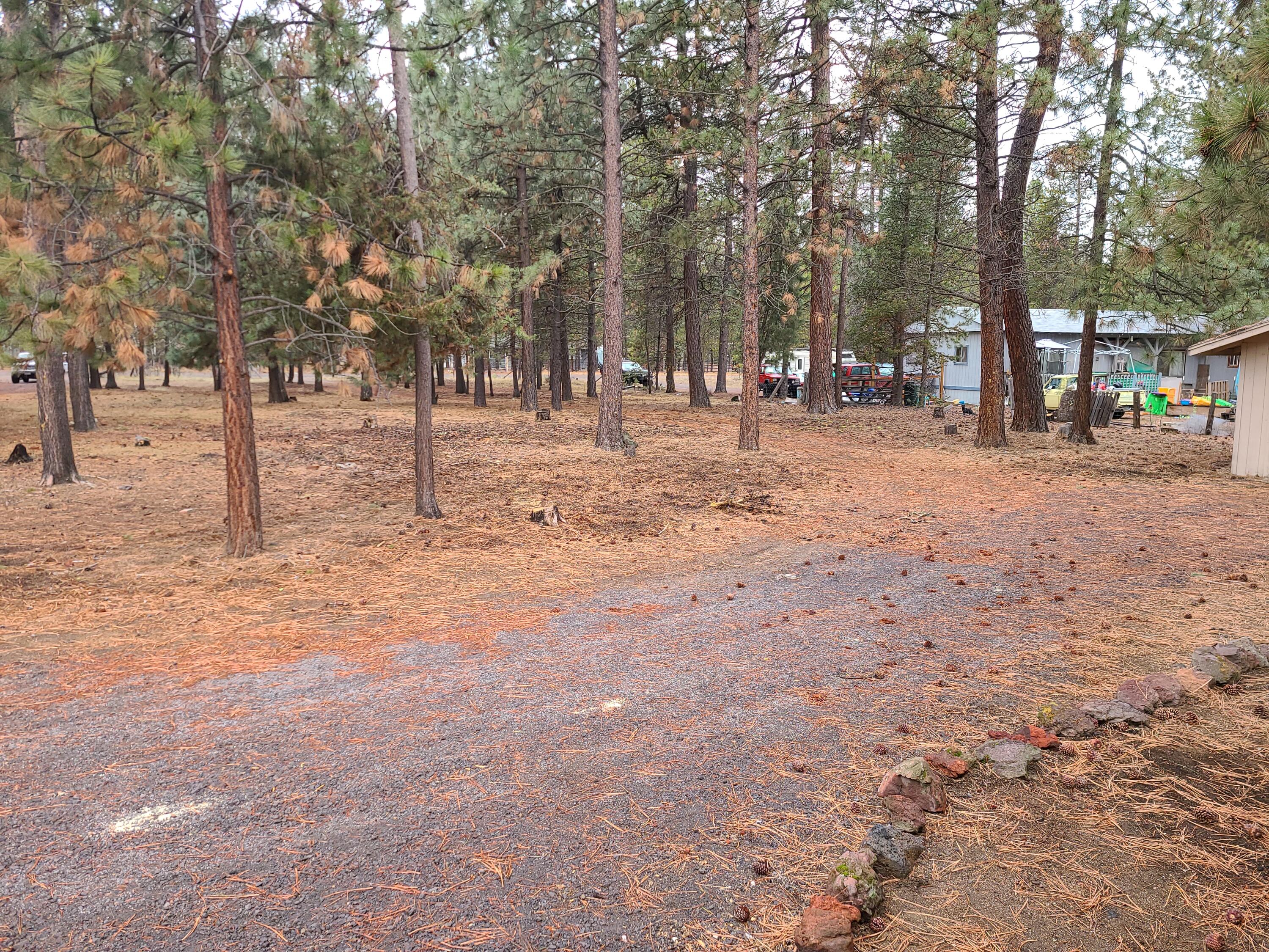 51454 Jory Road La Pine, OR 97739 - Photo 8 of 29 20211207_111658