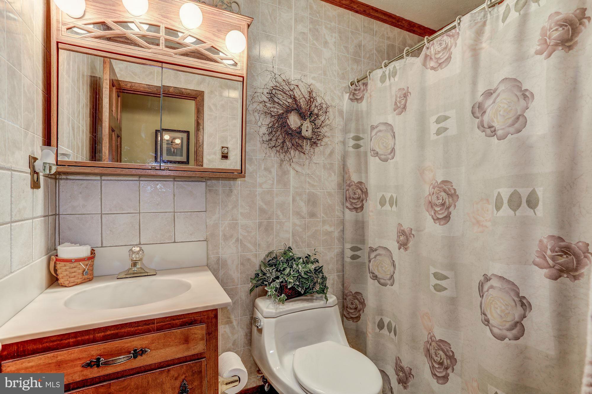2 Nichols Road Luray, VA 22835 - Photo 17 of 30 a bathroom with a sink a toilet and shower curtain