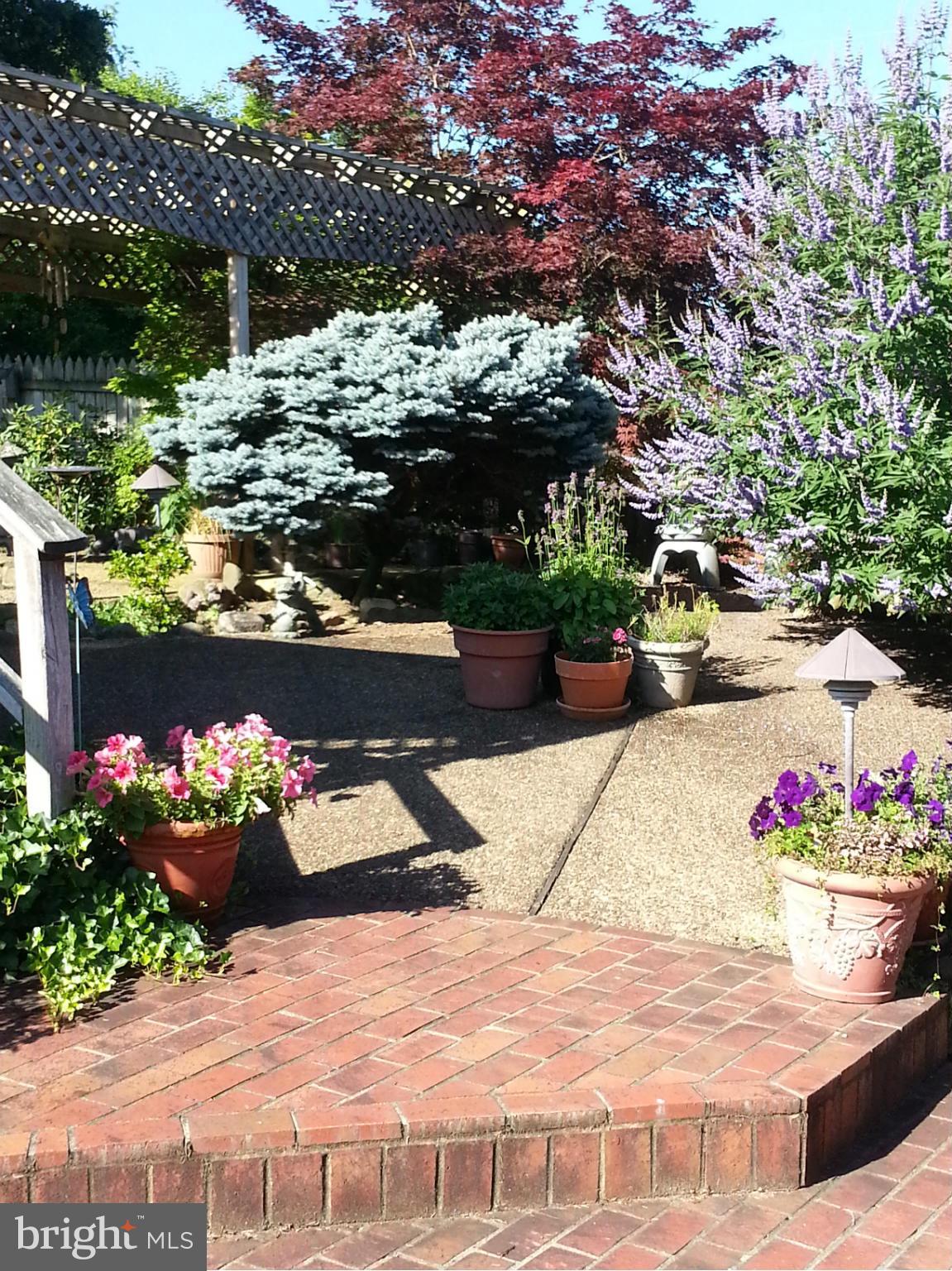 2 Nichols Road Luray, VA 22835 - Photo 20 of 30 a view of an outdoor space