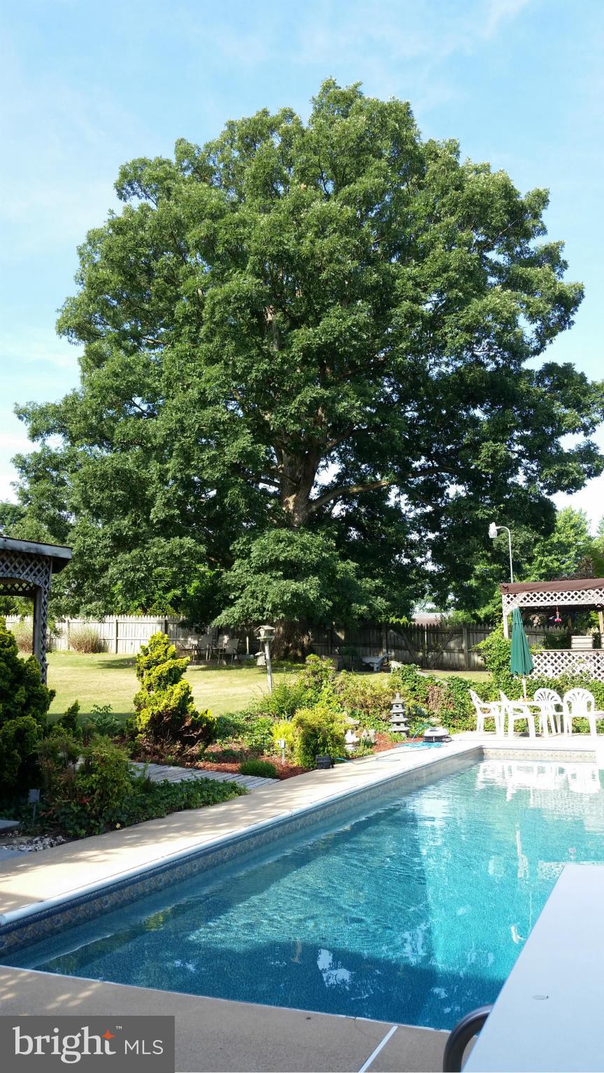 2 Nichols Road Luray, VA 22835 - Photo 22 of 30 a view of a swimming pool with a garden