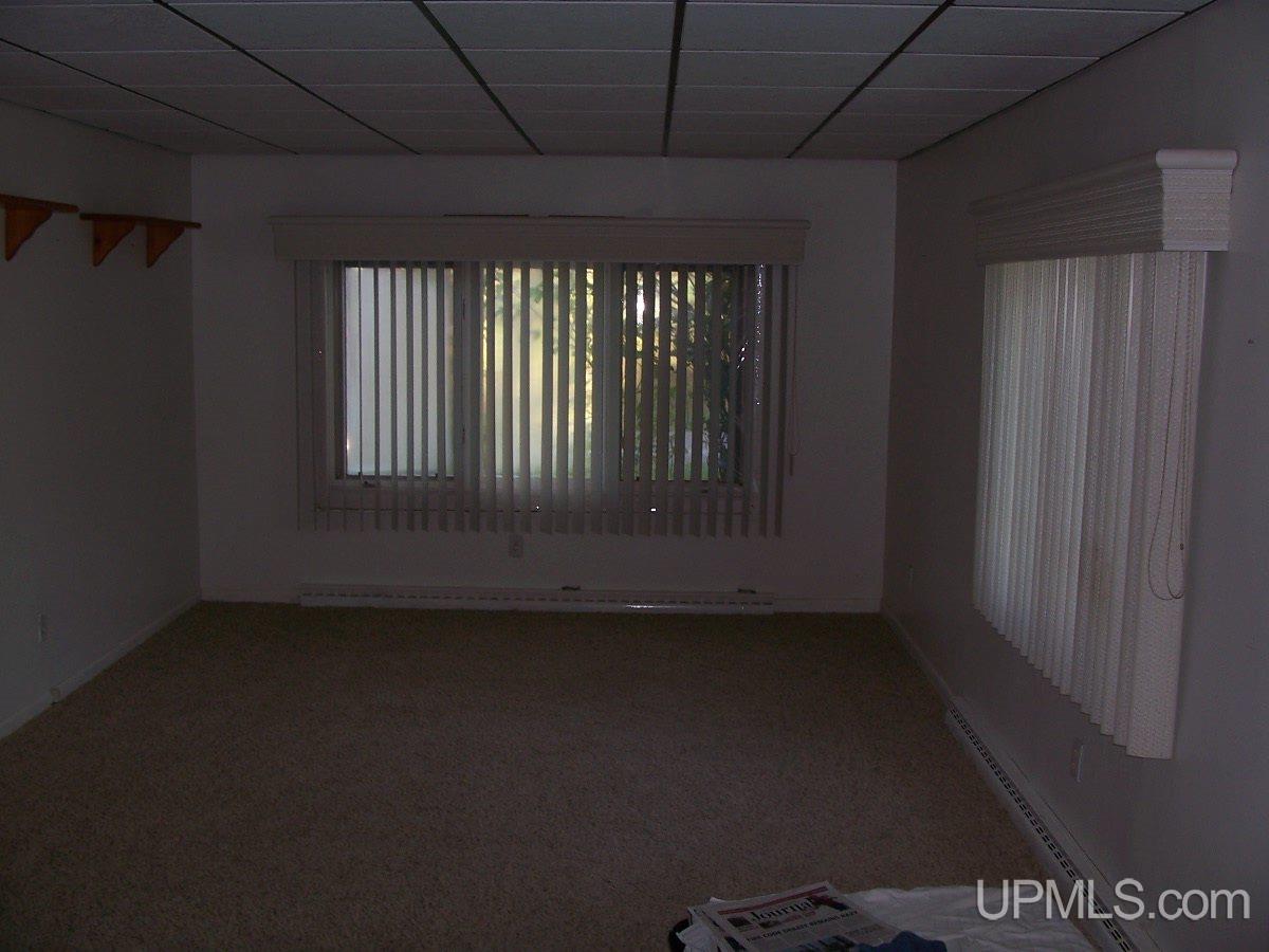 118 North Davis Street Ishpeming, MI 49849 - Photo 19 of 34 Gallery Image 19