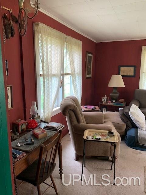17746 Aura Road Lanse, MI 49946 - Photo 15 of 27 Gallery Image 15