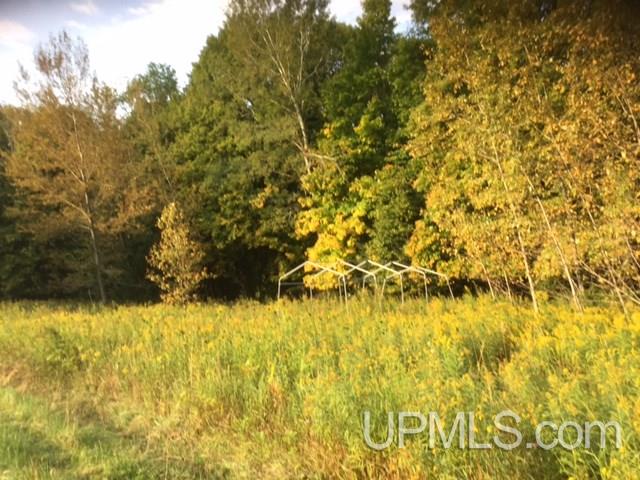 E4049 Trout Lake Road Chatham, MI 49816 - Photo 1 of 18 Gallery Image 1