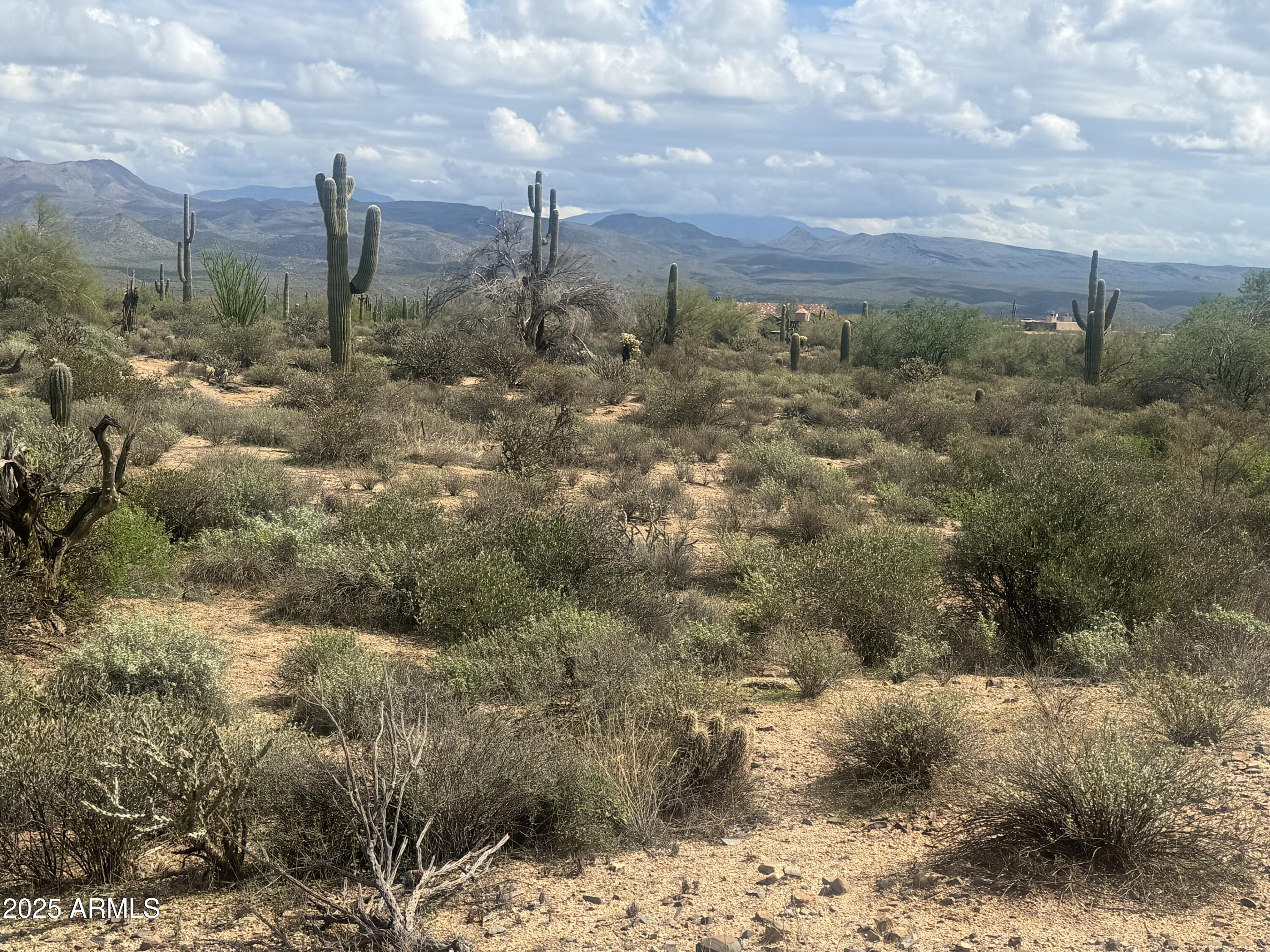 a view of a city with green space