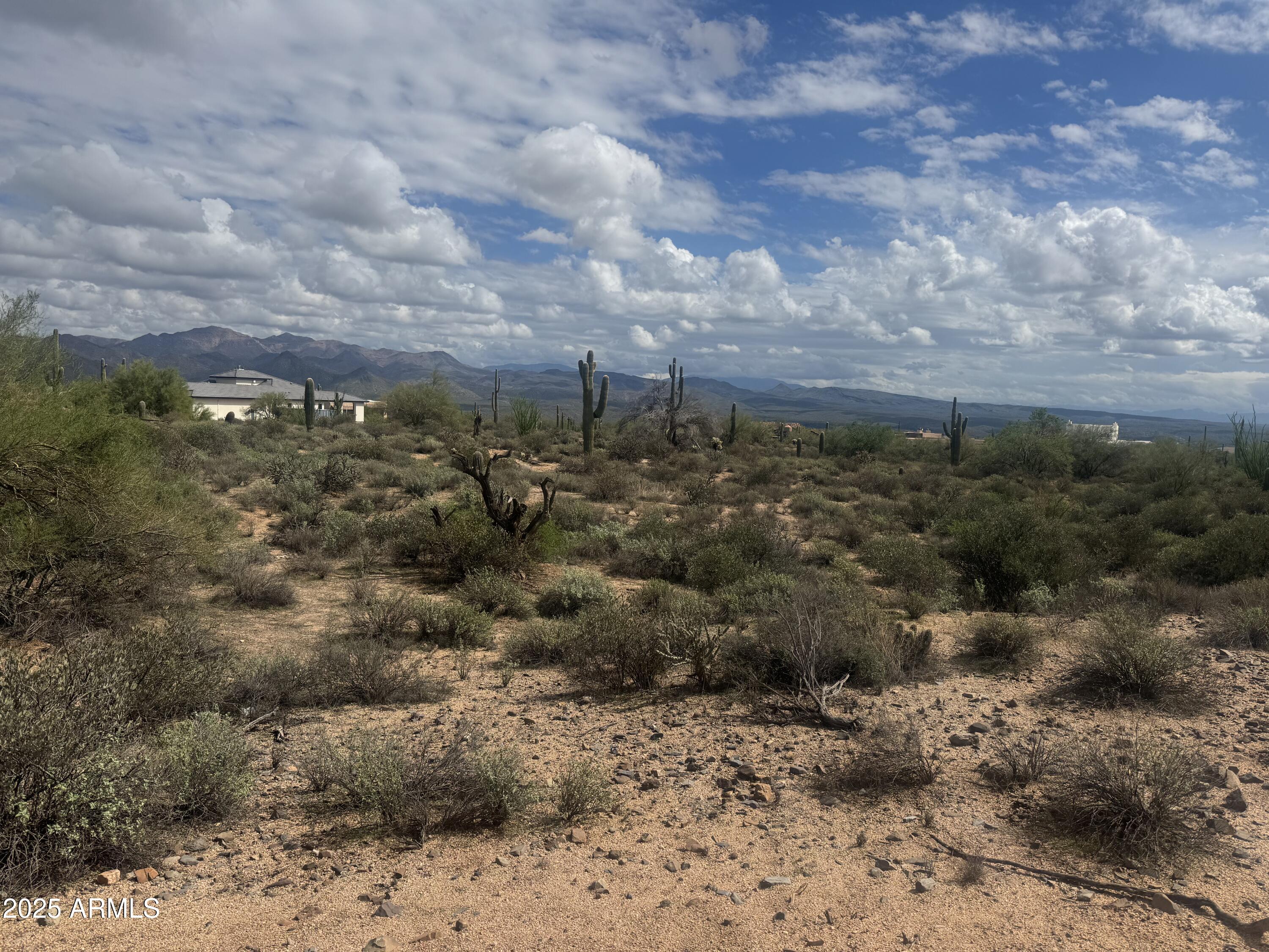 172 North Street Street Rio Verde, AZ 85263 - Photo 2 of 10 a view of a dry field with trees in background