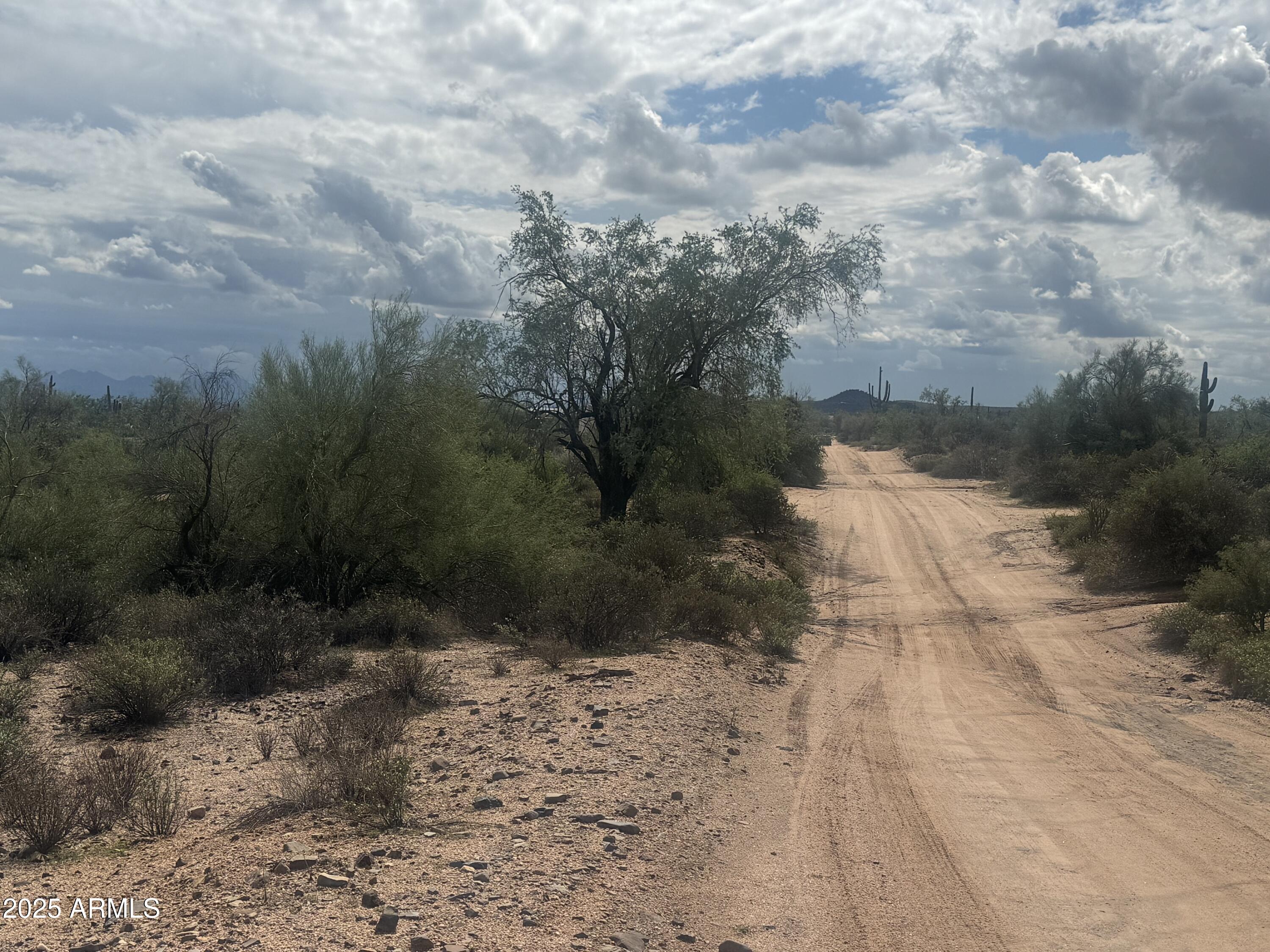 172 North Street Street Rio Verde, AZ 85263 - Photo 3 of 10 a view of a pathway with a yard