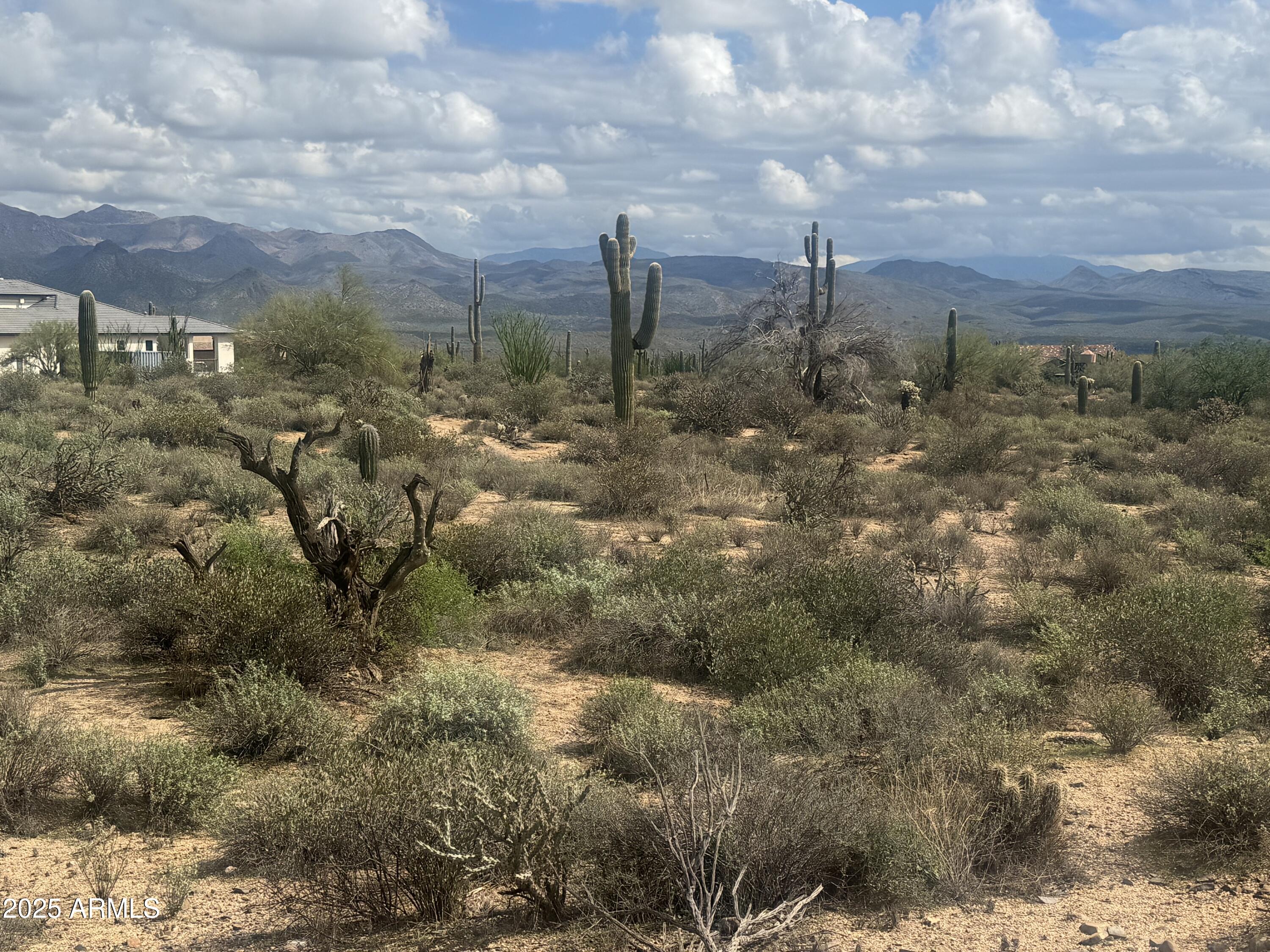172 North Street Street Rio Verde, AZ 85263 - Photo 4 of 10 a view of a city with lots of bushes