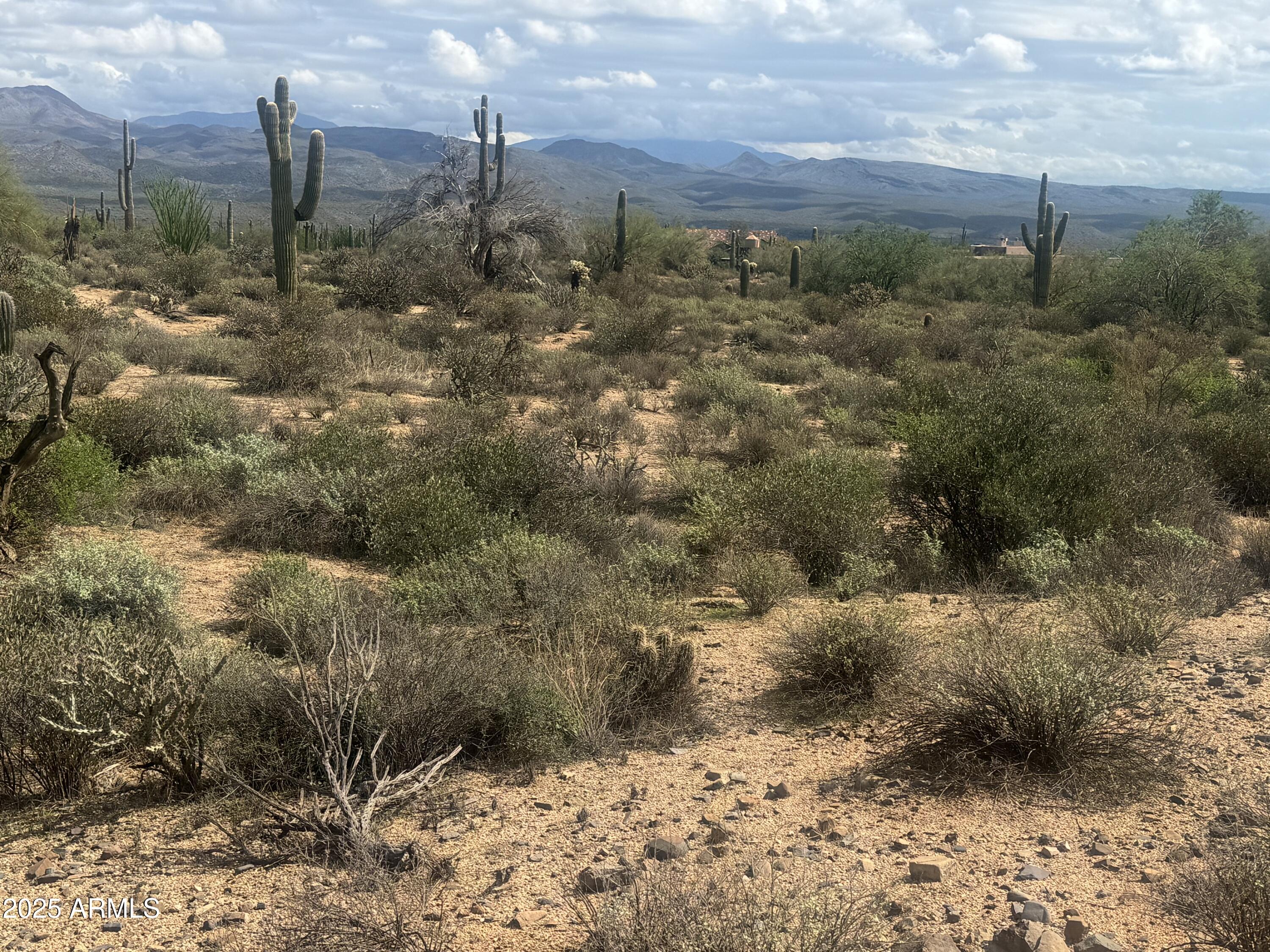172 North Street Street Rio Verde, AZ 85263 - Photo 5 of 10 a view of a yard