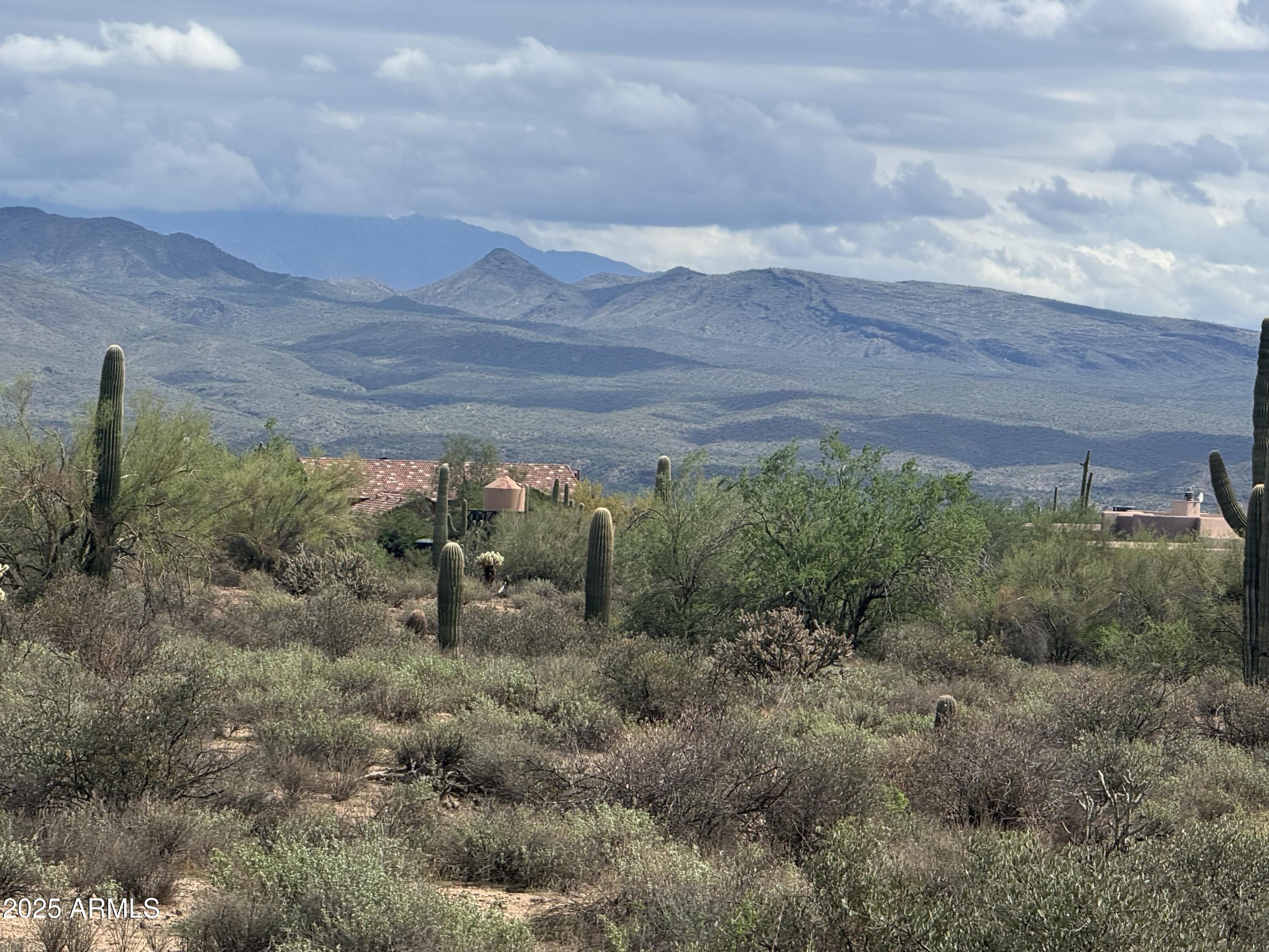 172 North Street Street Rio Verde, AZ 85263 - Photo 7 of 10 a view of a bunch of trees in a field
