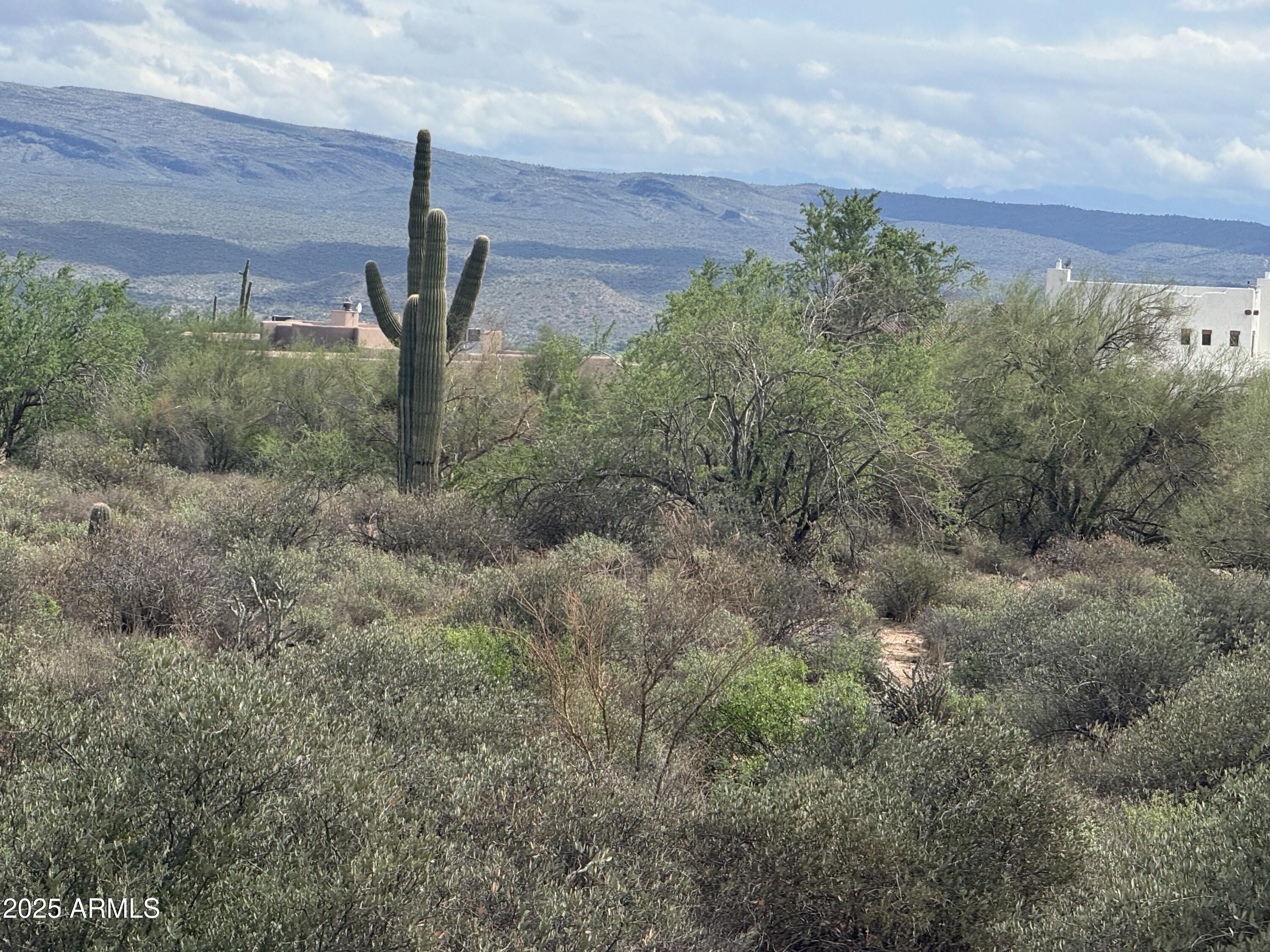 172 North Street Street Rio Verde, AZ 85263 - Photo 8 of 10