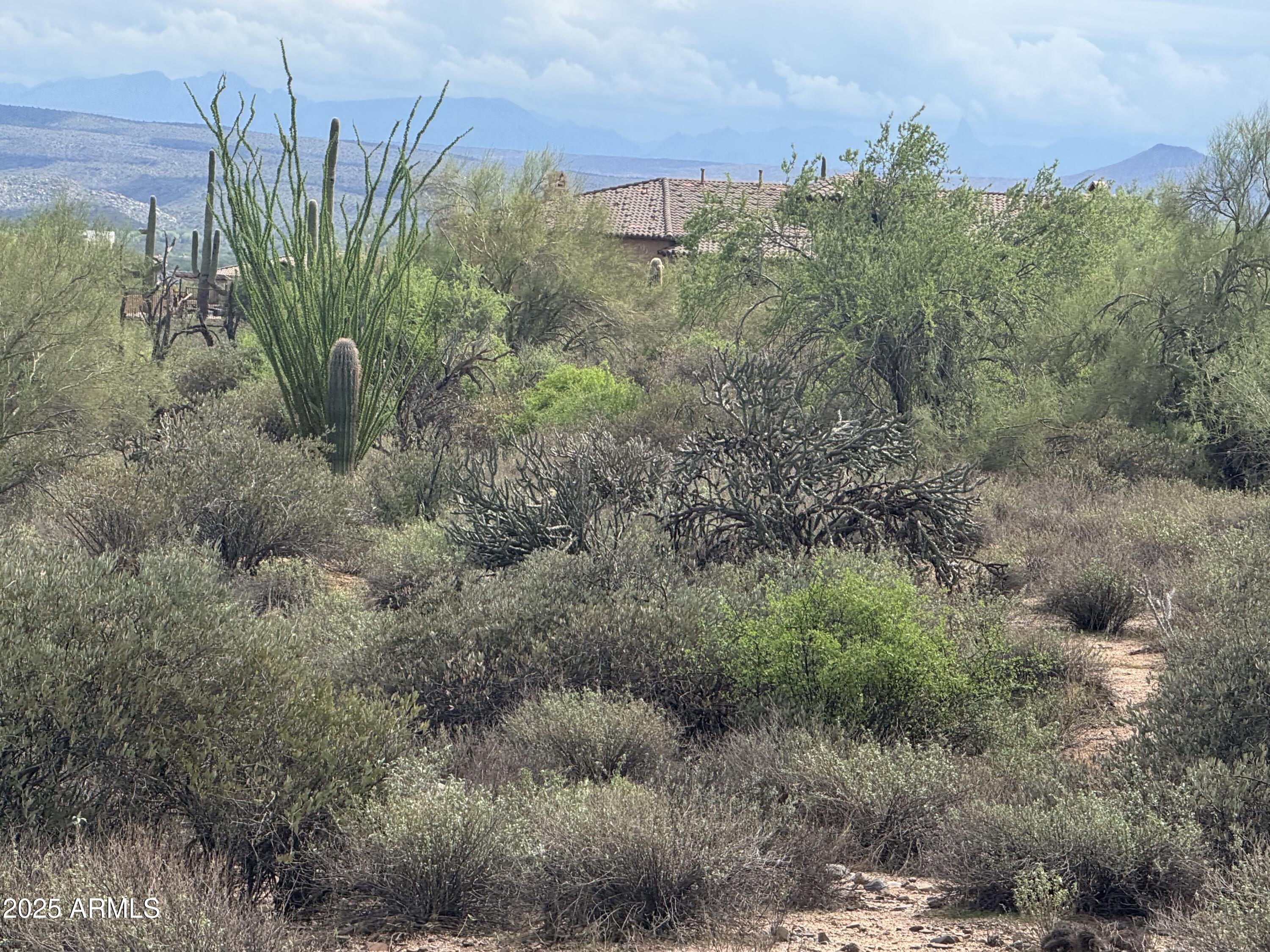 172 North Street Street Rio Verde, AZ 85263 - Photo 10 of 10 a view of a lush green field