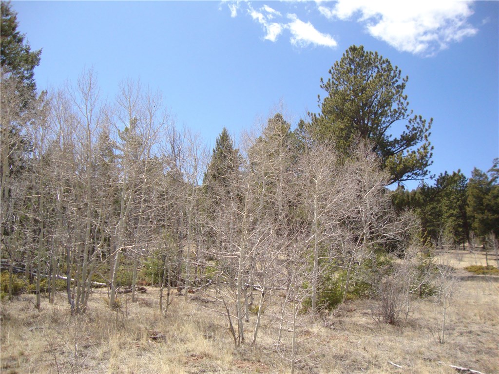 Lot 103 Redhill Road Fairplay, CO 80440 - Photo 16 of 24 Gallery Image 16