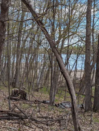 $59,900 | Tbd Paradise Drive, Browerville, MN 56438