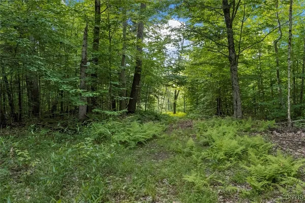 $159,000 | 111 Black Cherry Lane, Russia, NY 13324