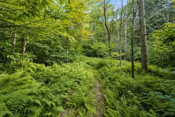 $159,000 | 111 Black Cherry Lane, Russia, NY 13324