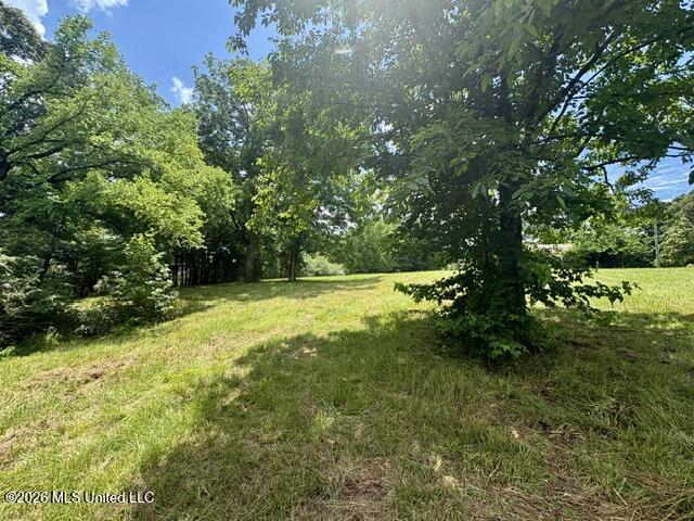 703 Burton Road Senatobia, MS 38668 - Photo 2 of 10 IMG_3816