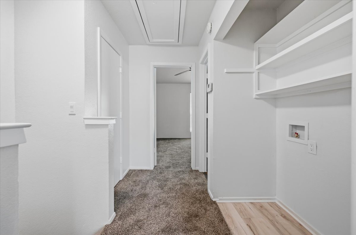 41 Abbey Road Euless, TX 76039 - Photo 14 of 23 Functional utility space features built-in shelving and transitions smoothly into carpeted hallways.