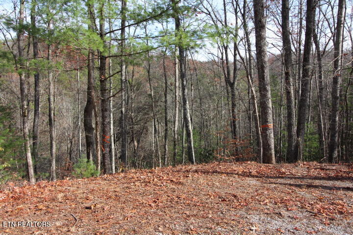 119 Taylors Rdg Road Walland, TN 37886 - Photo 5 of 27 SaddleRidge 007