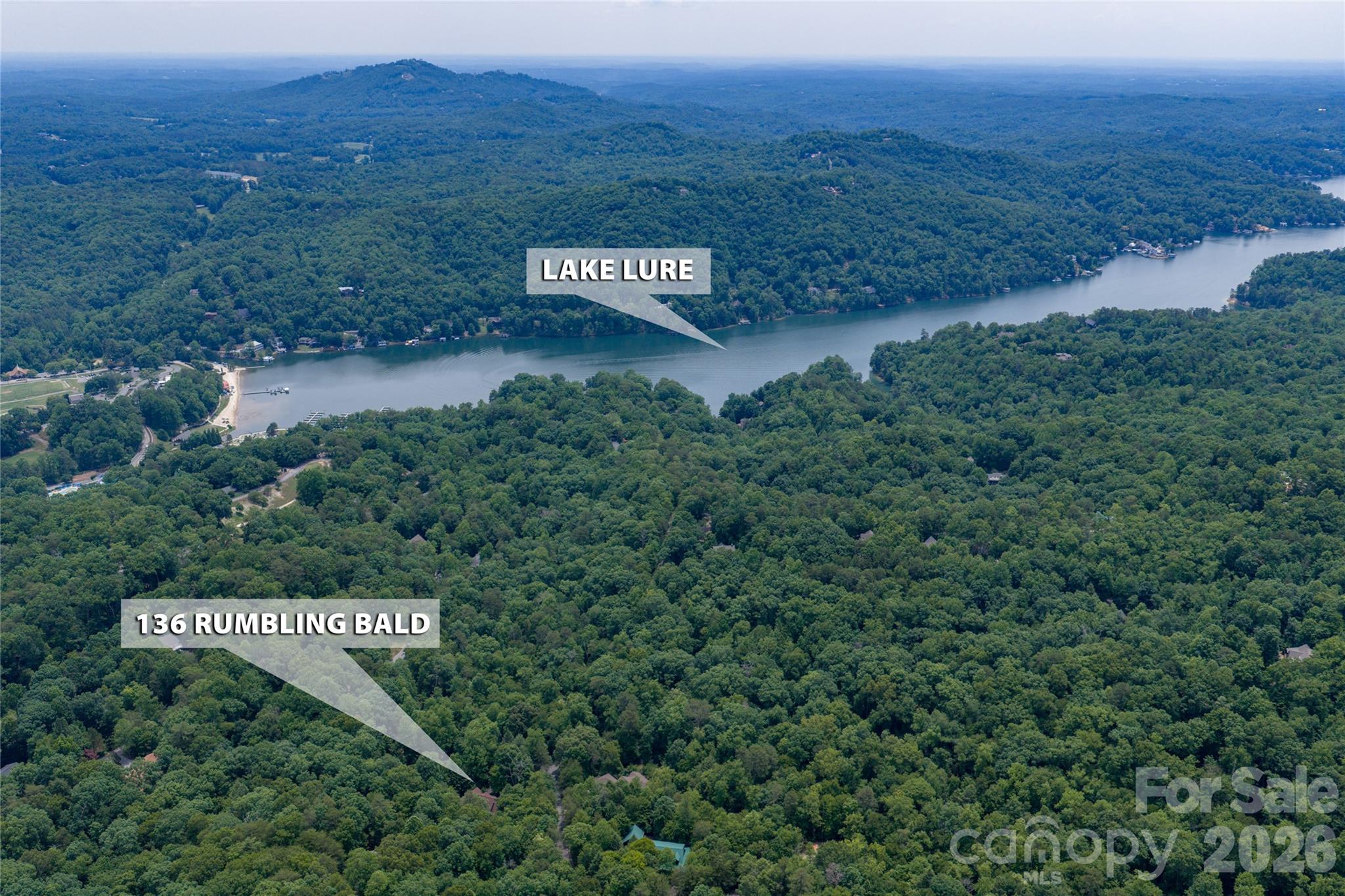 136 Rumbling Bald Road Lake Lure, NC 28746 - Photo 41 of 48