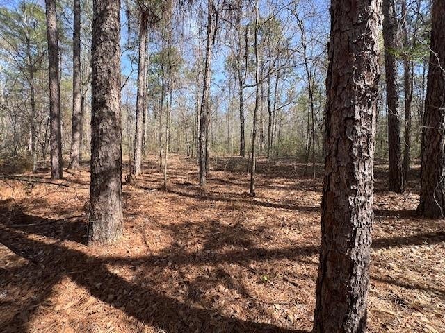 18-ac Potter Road Opp, AL 36467 - Photo 1 of 12 Gallery Image 1