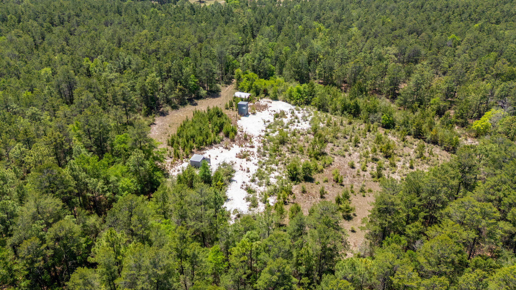 56-acres Hinote Road DeFuniak Springs, FL 32433 - Photo 2 of 9 7-web-or-mls-56-hinote-rd