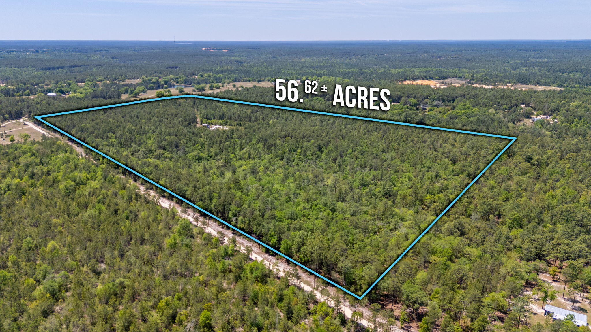 56-acres Hinote Road DeFuniak Springs, FL 32433 - Photo 4 of 9 3-web-or-mls-56-hinote-rd