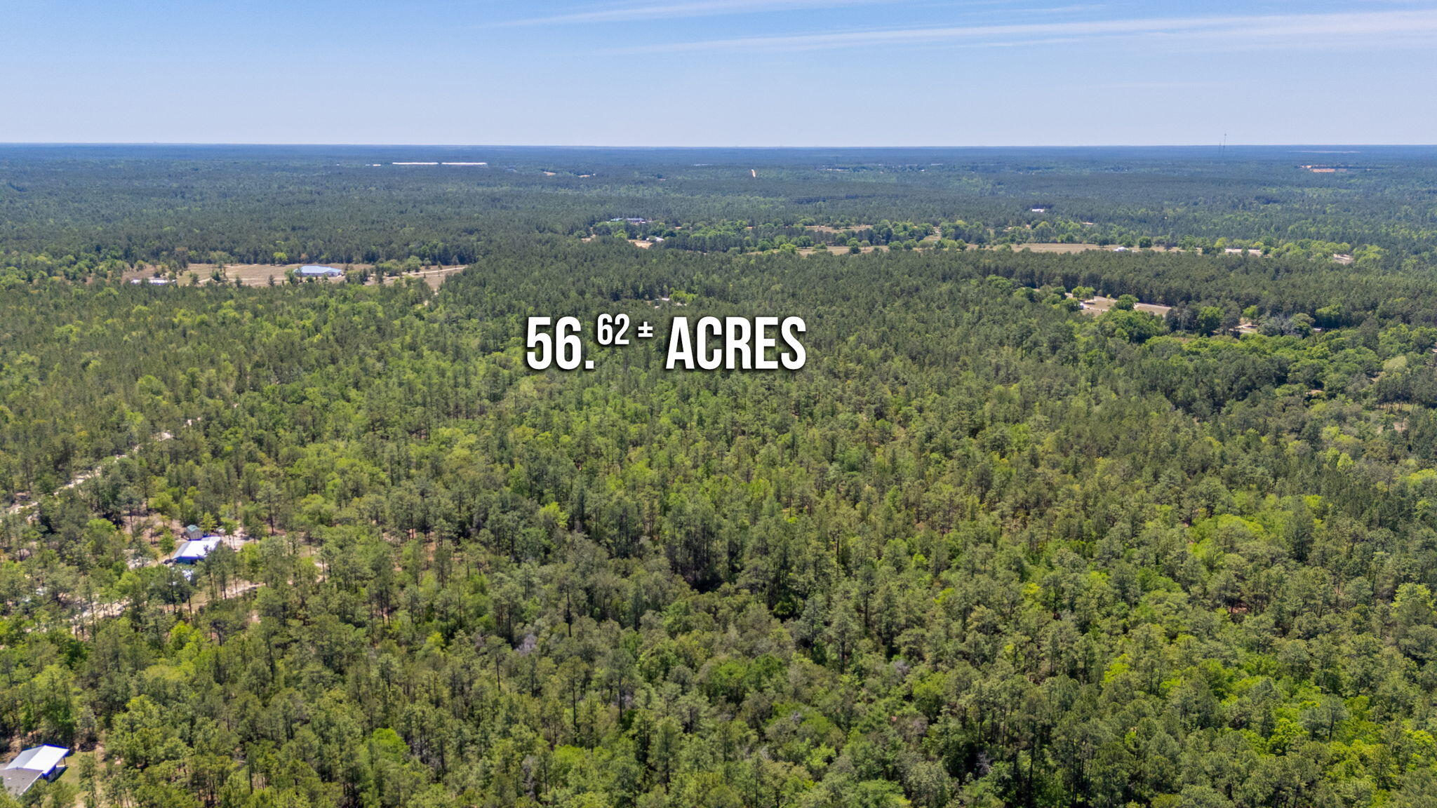 56-acres Hinote Road DeFuniak Springs, FL 32433 - Photo 5 of 9 4-web-or-mls-56-hinote-rd