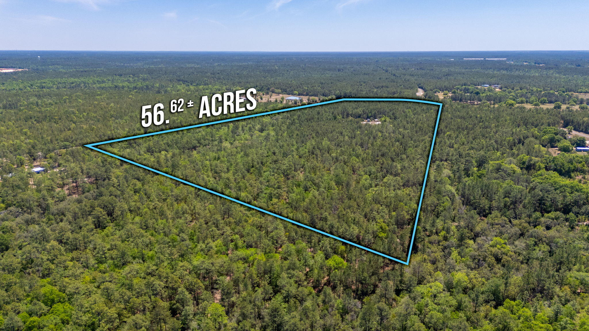 56-acres Hinote Road DeFuniak Springs, FL 32433 - Photo 6 of 9 5-web-or-mls-56-hinote-rd