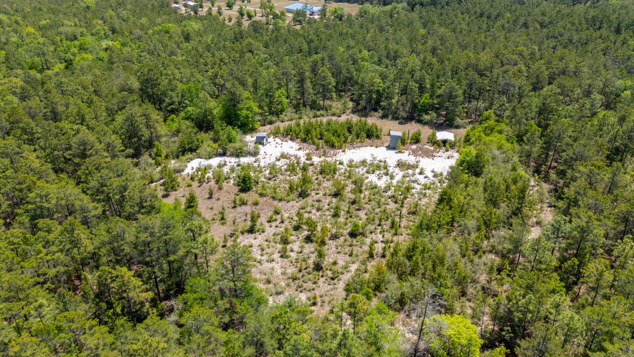 56-acres Hinote Road DeFuniak Springs, FL 32433 - Photo 7 of 9 6-web-or-mls-56-hinote-rd