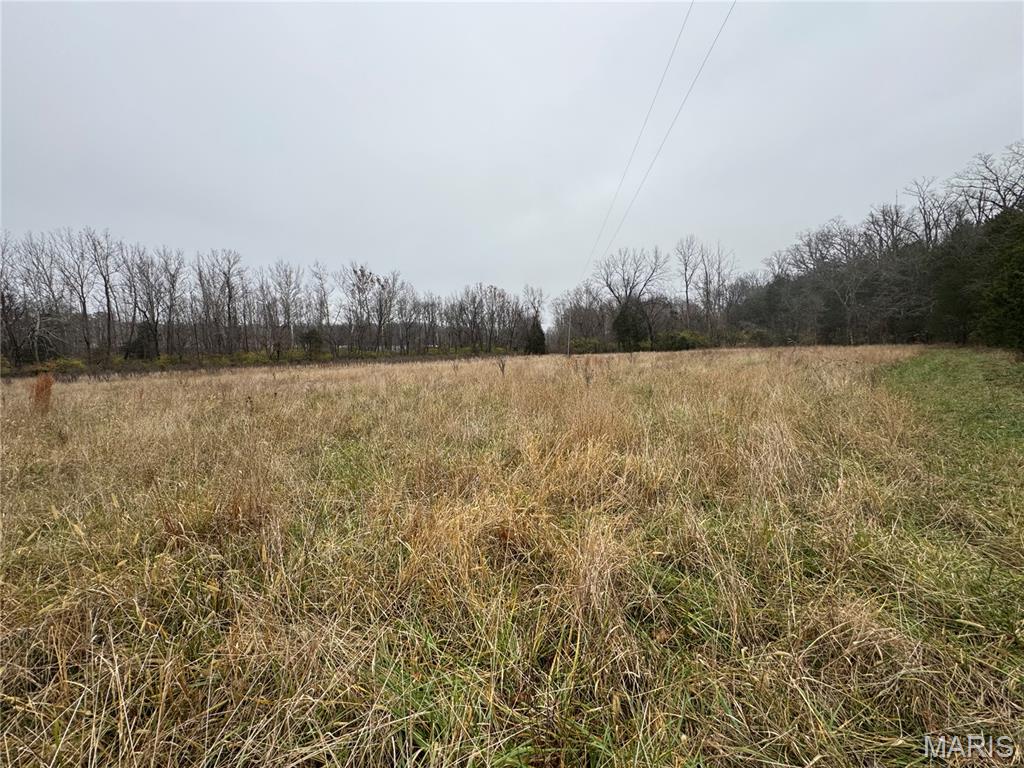 3078 Moselle Road Union, MO 63084 - Photo 4 of 6