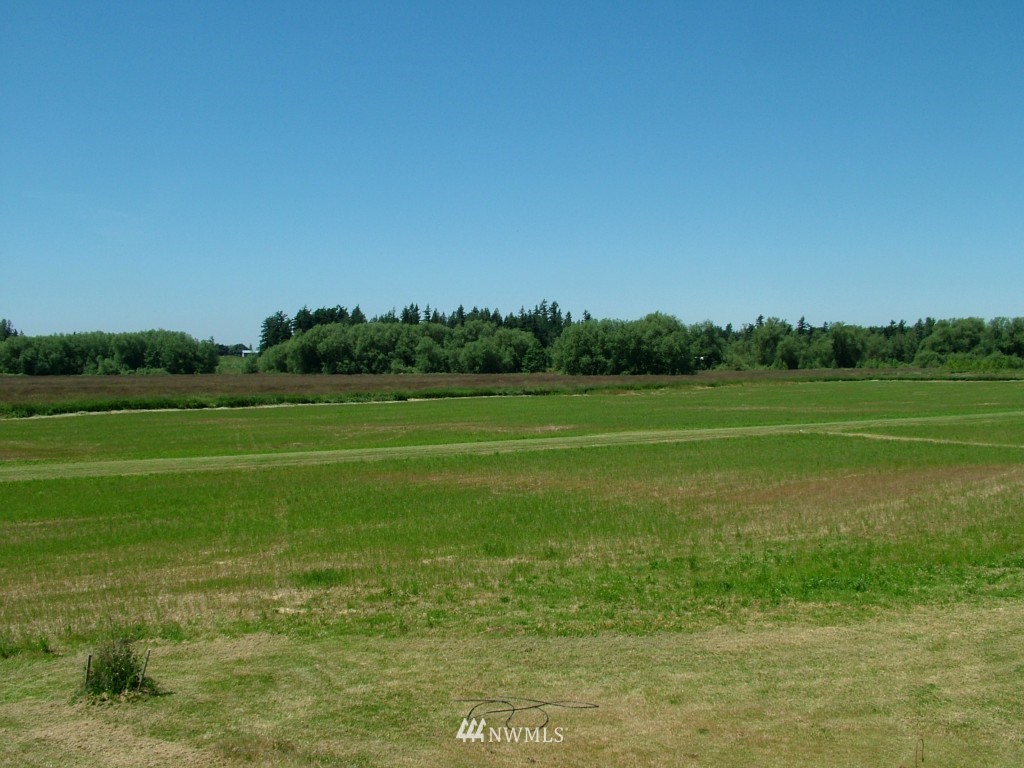 3544 South Pass Road Everson, WA 98247 - Photo 2 of 15