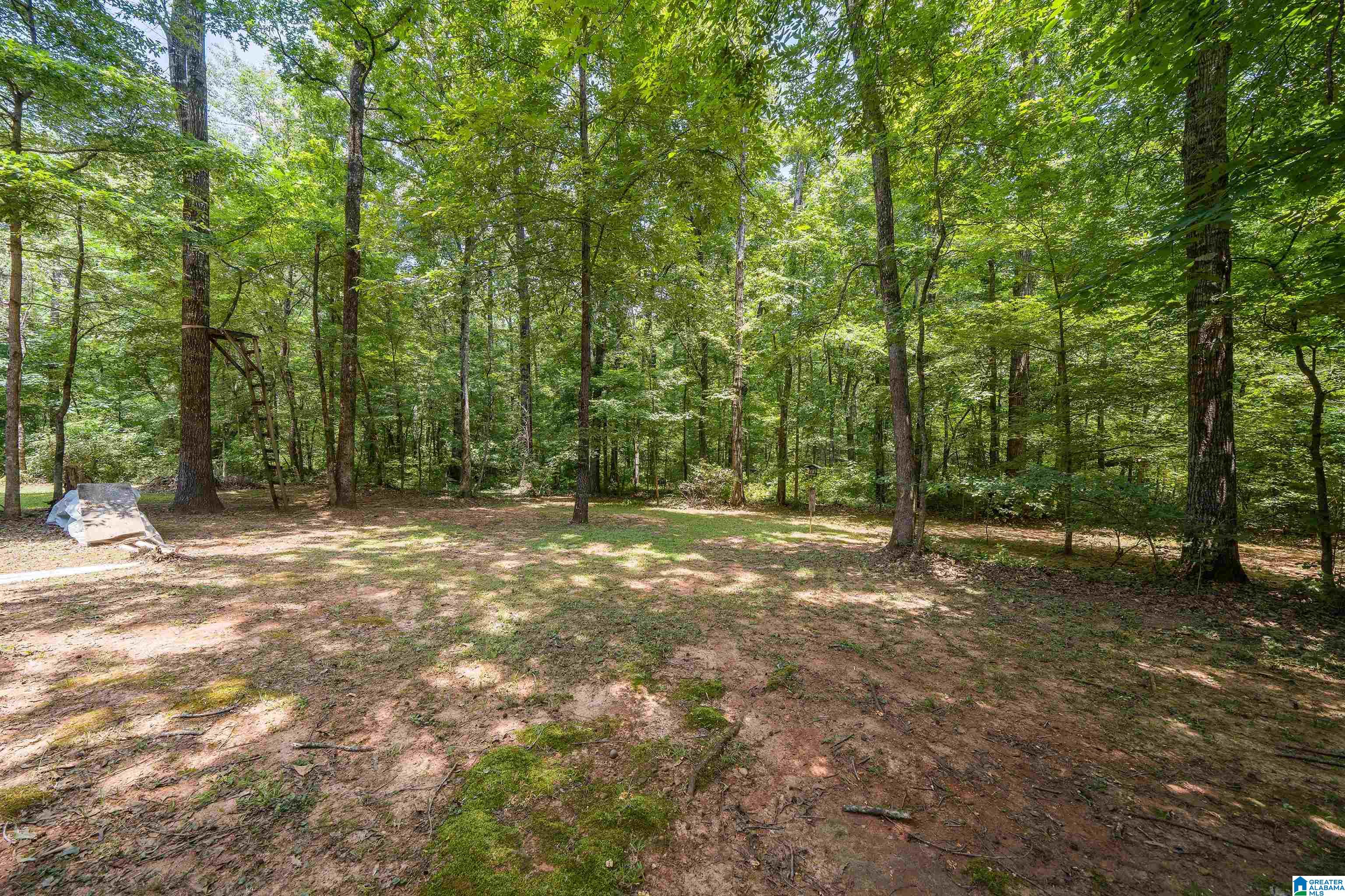 147 Chestnut Drive Alabaster, AL 35007 - Photo 35 of 35