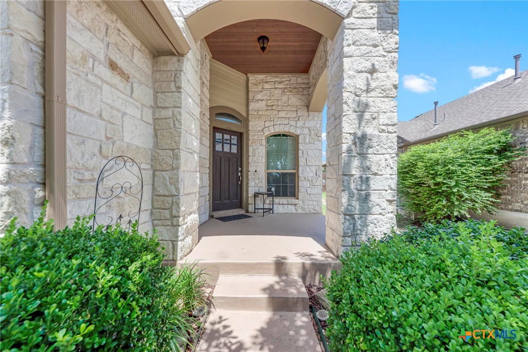 700 Cortona Cove Georgetown, TX 78628 - Photo 4 of 46 Beautiful entryway