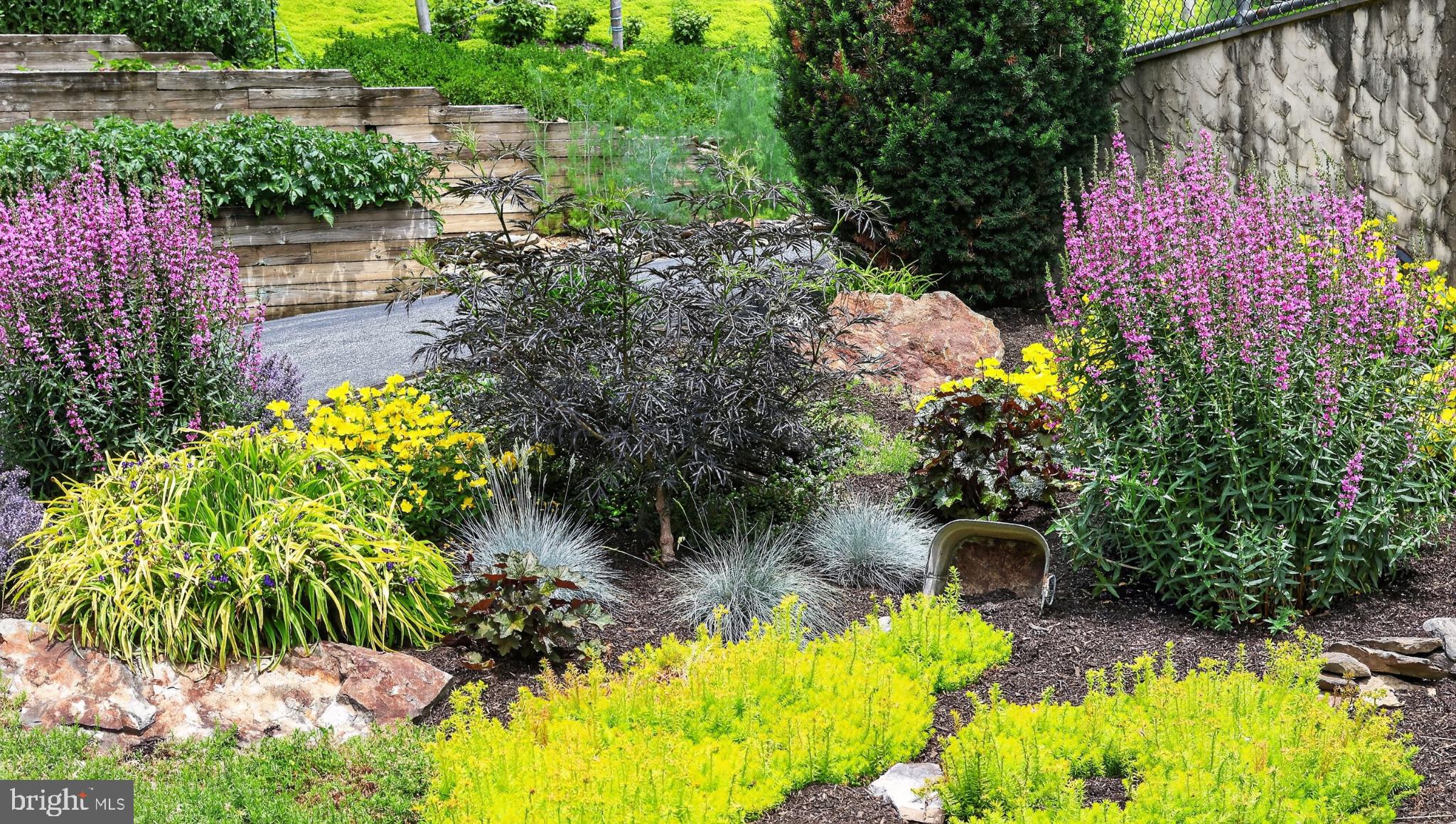 257 Hill Road New Holland, PA 17557 - Photo 22 of 94 Vibrant garden blooms in harmony.