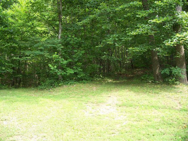 1725 Porters Mountain Road Blue Ridge, VA 24064 - Photo 3 of 13 a view of outdoor space
