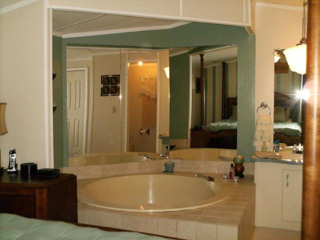 1725 Porters Mountain Road Blue Ridge, VA 24064 - Photo 9 of 13 a bathroom with a tub sink and mirror