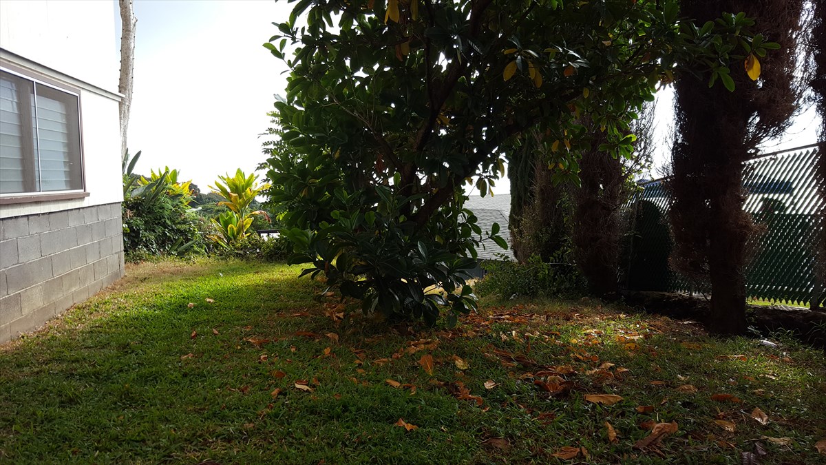 82-1056 Kinue Road Captain Cook, HI 96704 - Photo 3 of 9 Gallery Image 3