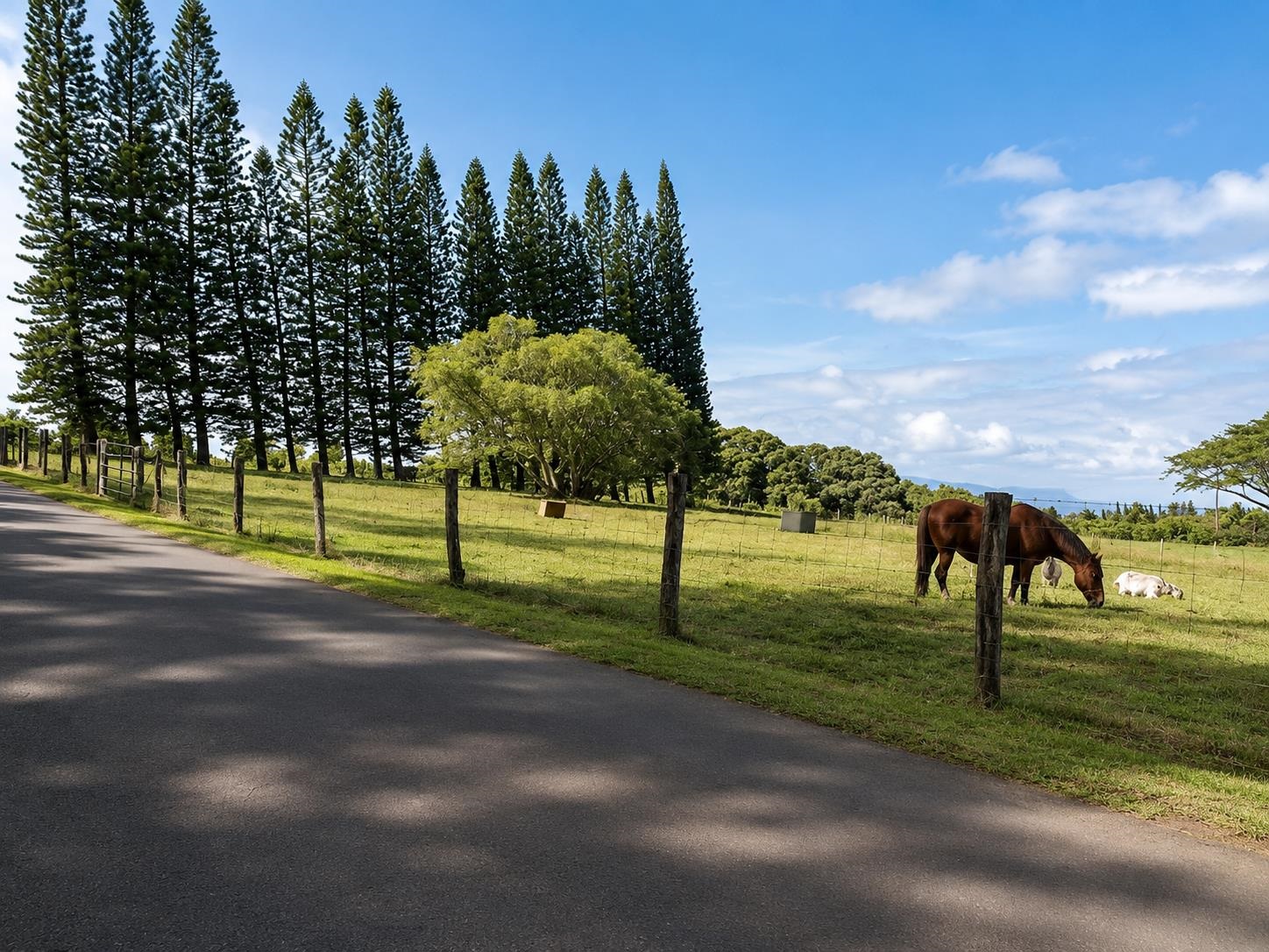 2475 Lilikoi Road Haiku, HI 96708 - Photo 14 of 18 a view of a park