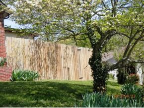 2191 Rock Springs Road Kingsport, TN 37664 - Photo 24 of 24 Privacy Fence